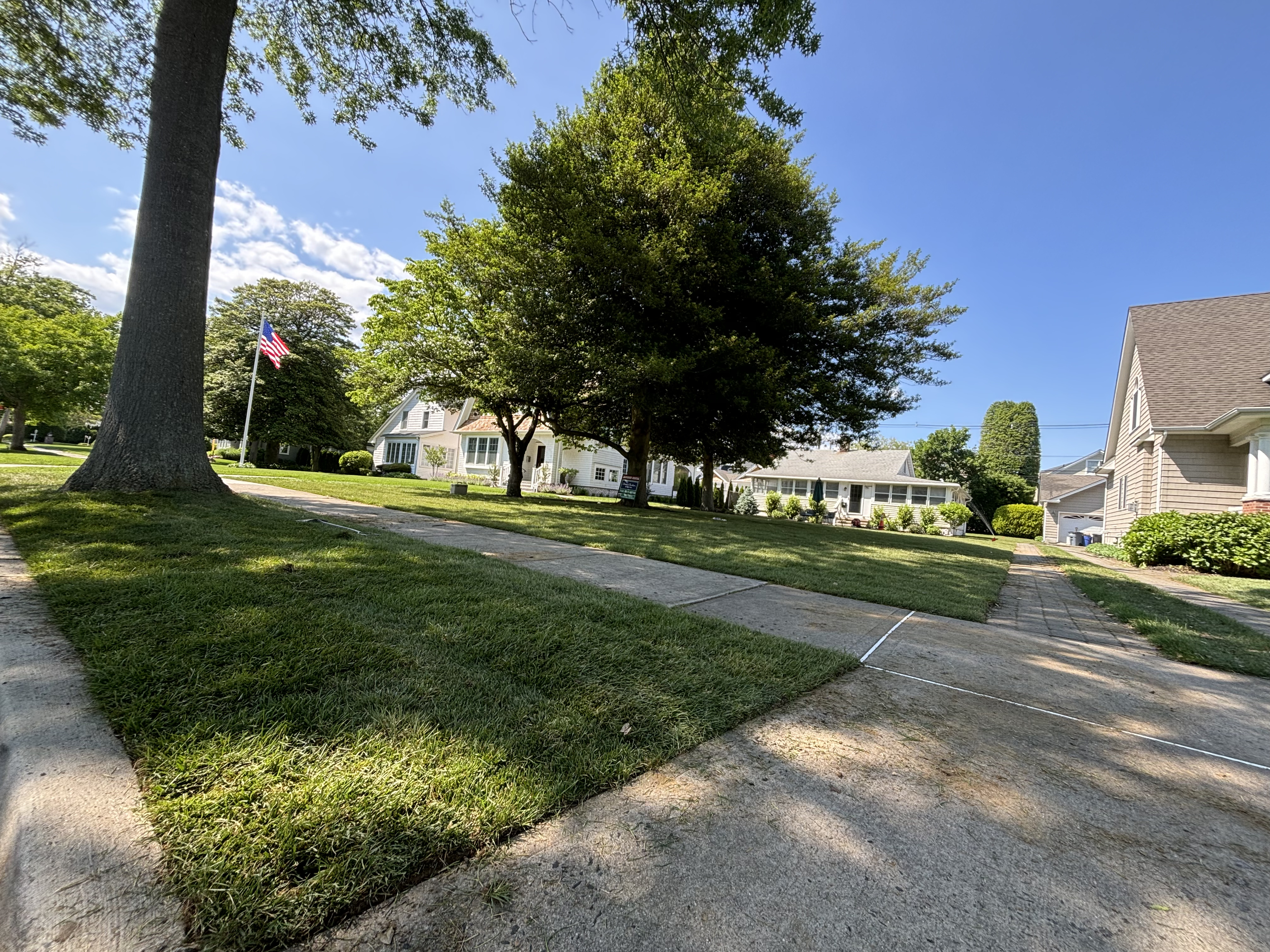 Front yard after landscaping and cleanup service